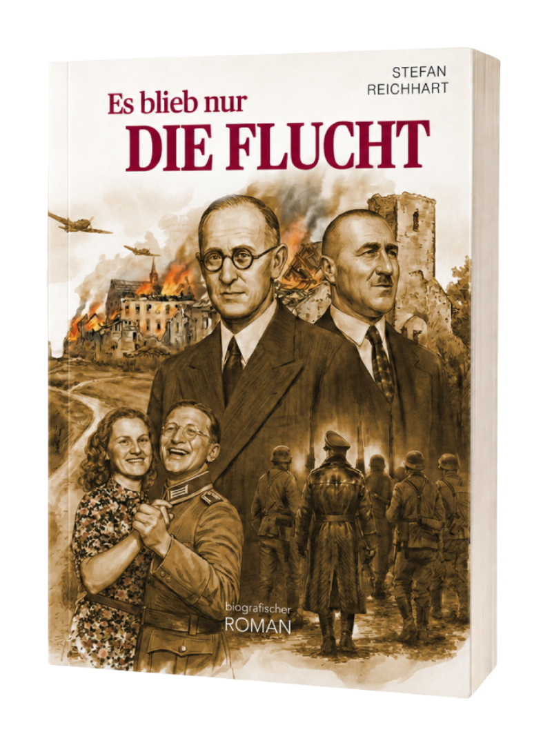 es blieb nur die flucht 3d cover