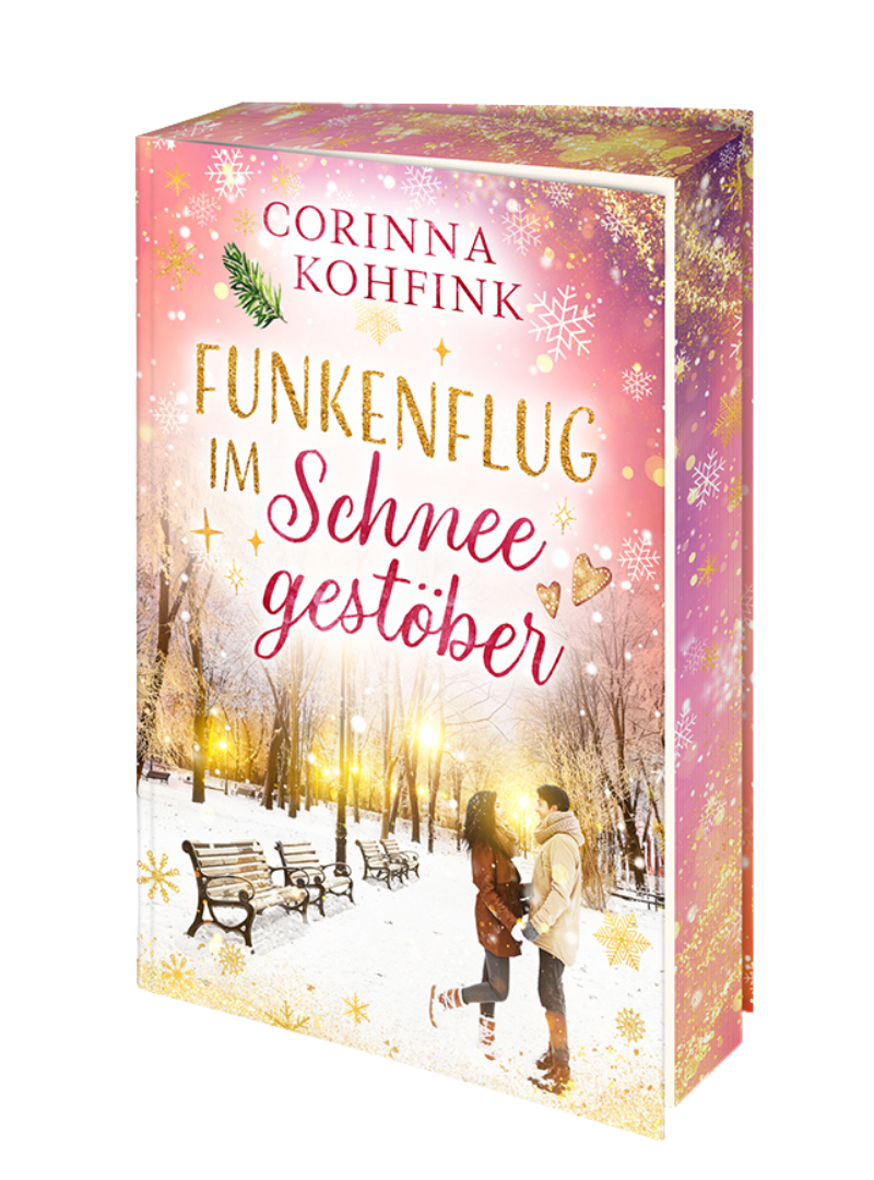 funkenflug im schneegestöber 3d cover